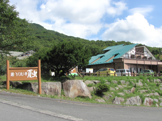 natsumushi